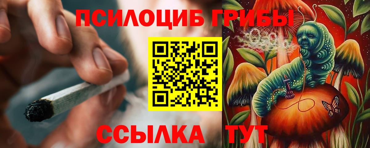 Псилоцибиновые грибы прущие грибы Изобильный